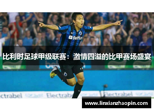 比利时足球甲级联赛：激情四溢的比甲赛场盛宴