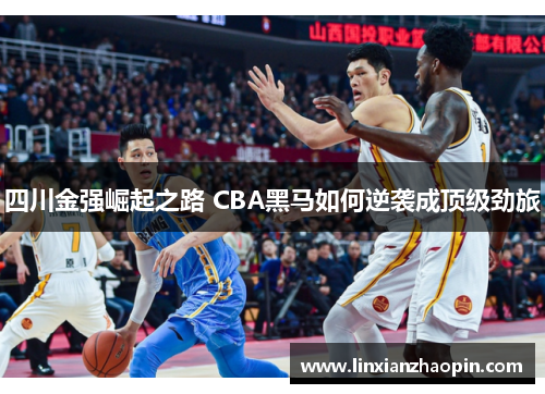 四川金强崛起之路 CBA黑马如何逆袭成顶级劲旅 四川金强崛起之路 CBA黑马如何逆袭成顶级劲旅