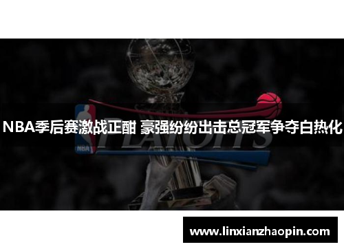 NBA季后赛激战正酣 豪强纷纷出击总冠军争夺白热化
